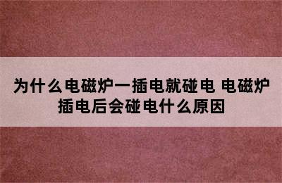 为什么电磁炉一插电就碰电 电磁炉插电后会碰电什么原因